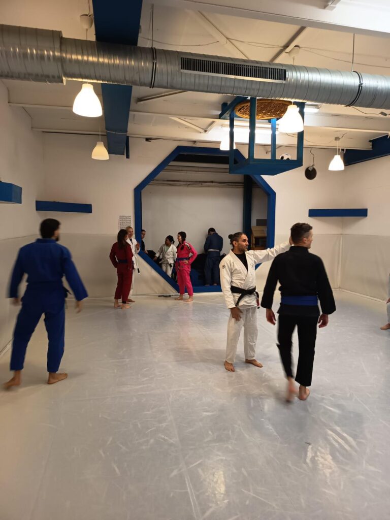 BIWA Dojo BJJ in Berlin
